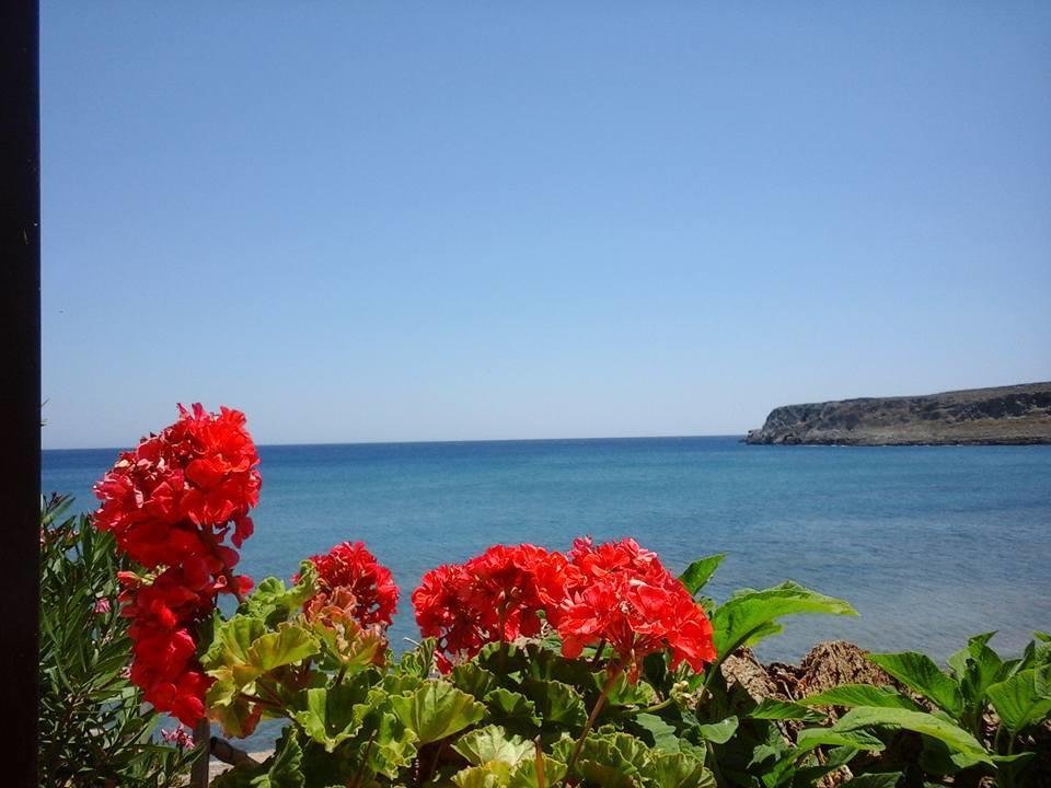Dimitra Apartments Zakros City المظهر الخارجي الصورة