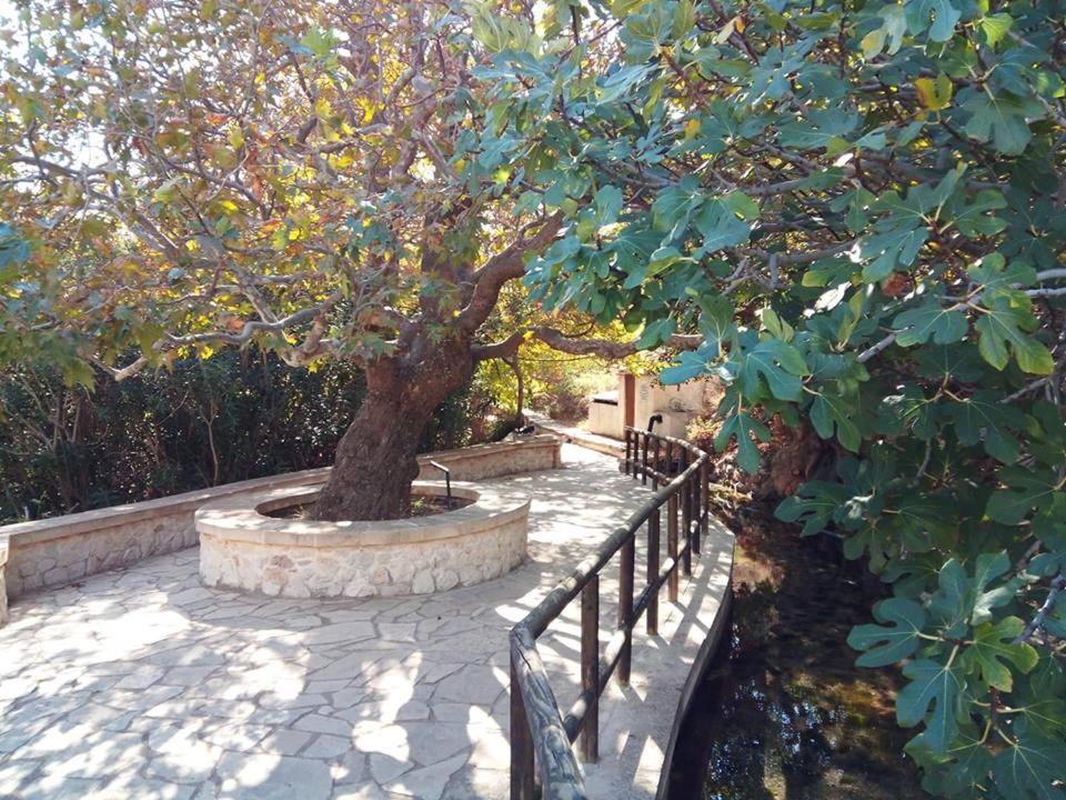 Dimitra Apartments Zakros City المظهر الخارجي الصورة